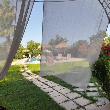 Leone Luxury Villas Kalamákion Dış mekan fotoğraf